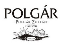 Polgár Cellary Restaurant (Villány) - hungarian, international food