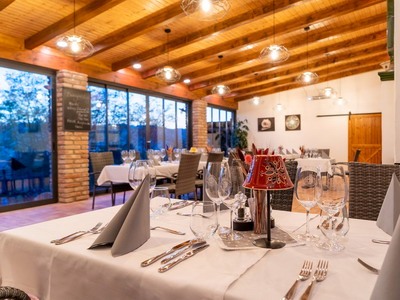 Restaurant Vaj Bistro & Guesthouse (Palkonya) - italian, hungarian food