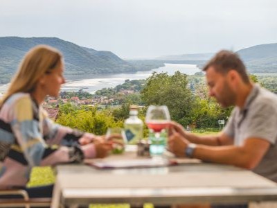 Restaurant Natura Hill (Zebegény)