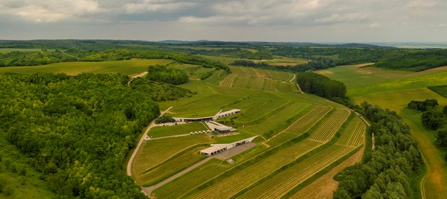 Restaurant LAJVER Gasztroműhely (Szálka) 1