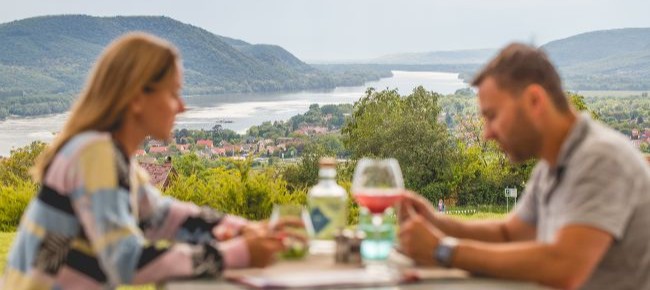 Restaurant Natura Hill (Zebegény) 6