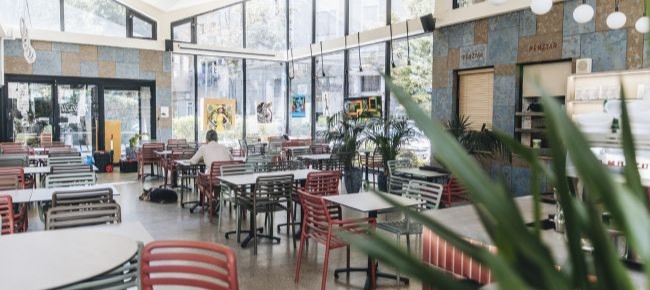 Tranzit by Flow (növényi alapú konyha) 2