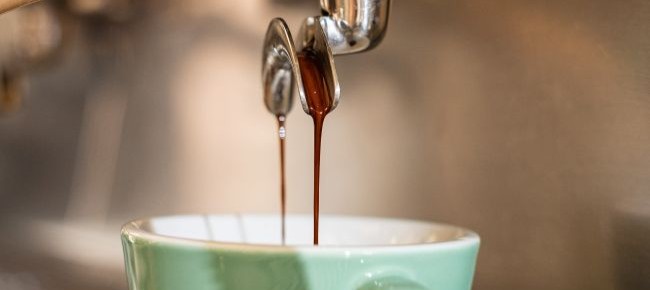 Tranzit by Flow (növényi alapú konyha) 8